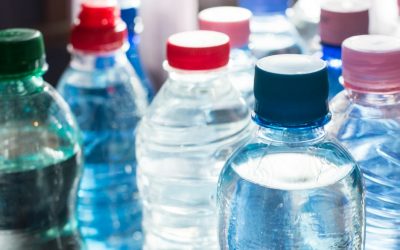 Life Saving Essentials: What You Need to Know about Food and Water